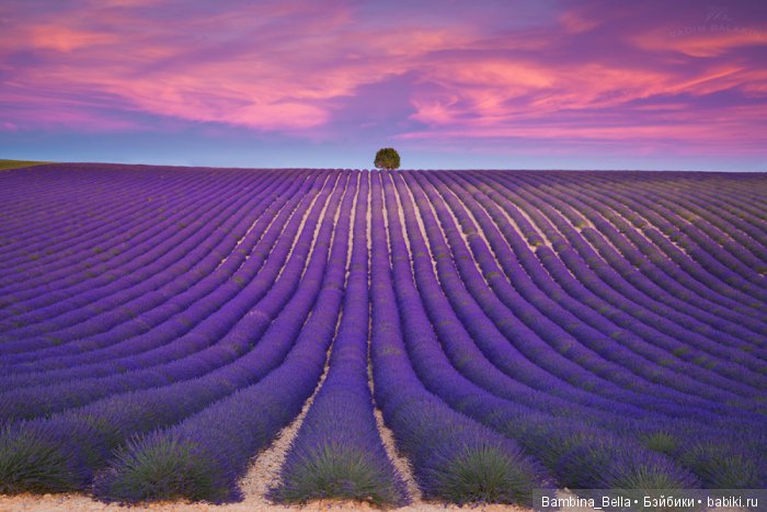 Красивейшие уголки земного шара, где природа не пожалела красок (фото 7)