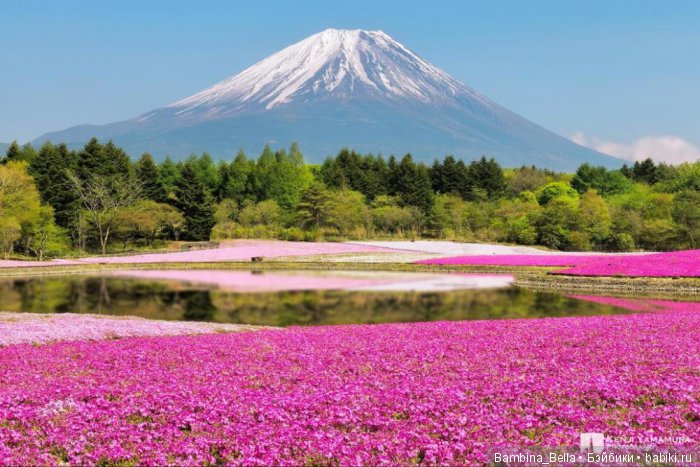 Красивейшие уголки земного шара, где природа не пожалела красок (фото 2)