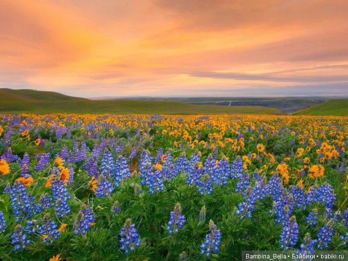 Красивейшие уголки земного шара, где природа не пожалела красок (фото 5)