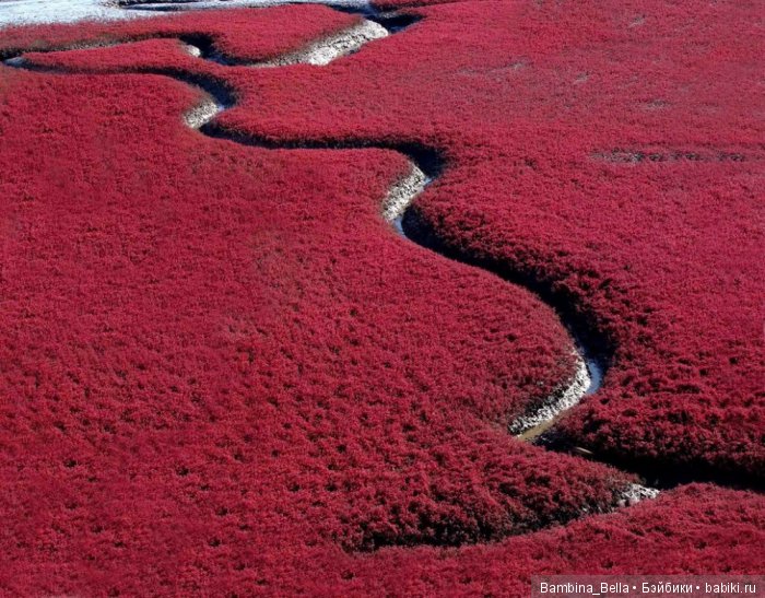 Красивейшие уголки земного шара, где природа не пожалела красок (фото 9)