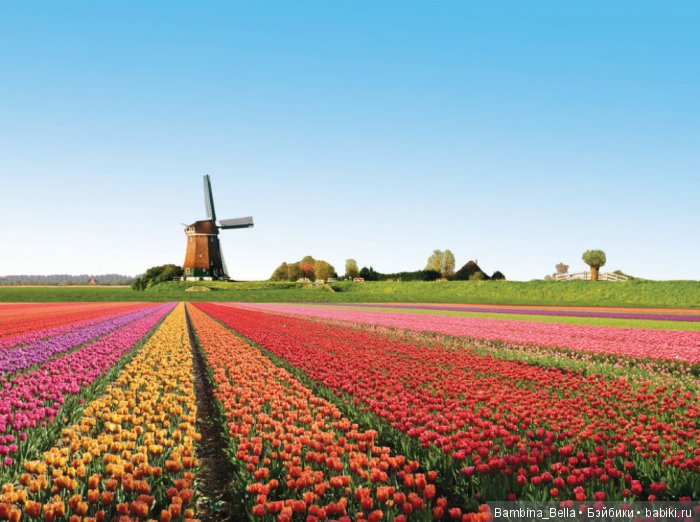 Красивейшие уголки земного шара, где природа не пожалела красок (фото 10)