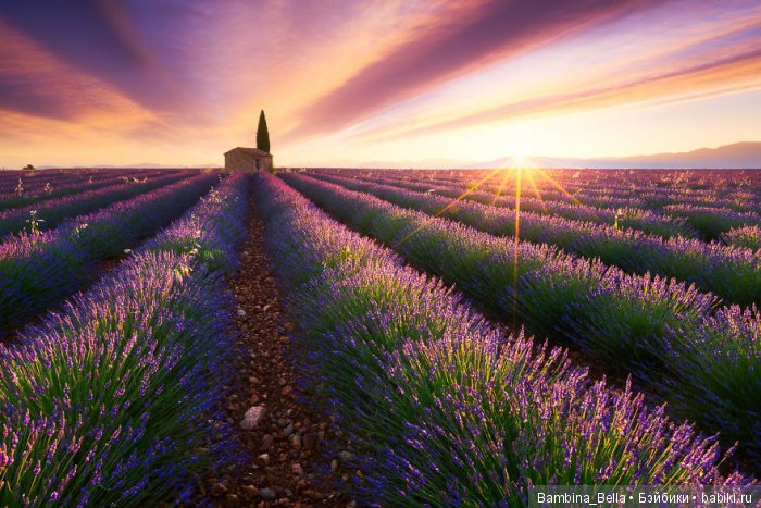 Что может быть прекраснее солнца | Бэйбики Что может быть прекраснее солнца (фото 3)