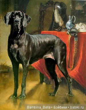 Немецкие доги - Аполлоны среди собак | Бэйбики Немецкие доги - Аполлоны среди собак