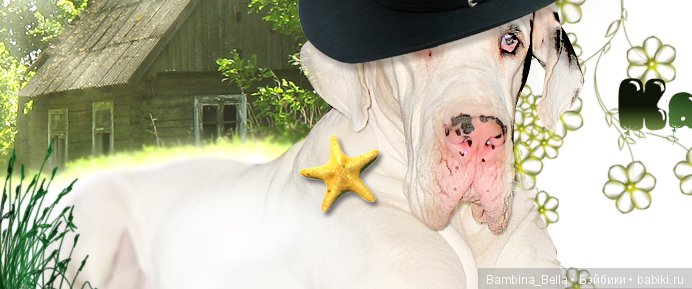 Немецкие доги - Аполлоны среди собак | Бэйбики Немецкие доги - Аполлоны среди собак