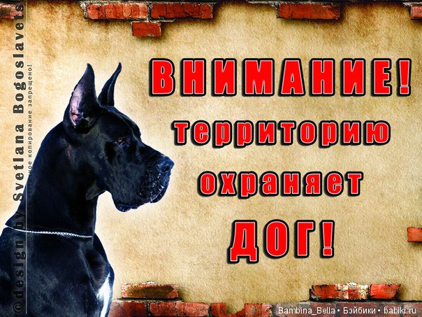 Немецкие доги - Аполлоны среди собак | Бэйбики Немецкие доги - Аполлоны среди собак