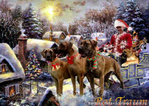 Немецкие доги - Аполлоны среди собак | Бэйбики Немецкие доги - Аполлоны среди собак