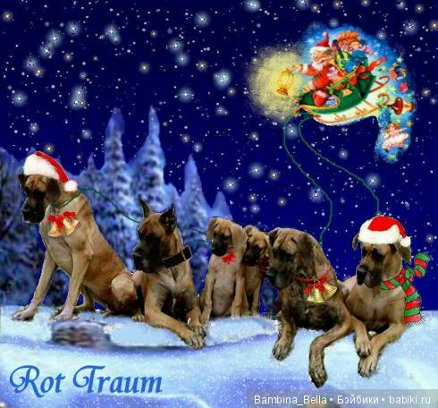 Немецкие доги - Аполлоны среди собак | Бэйбики Немецкие доги - Аполлоны среди собак