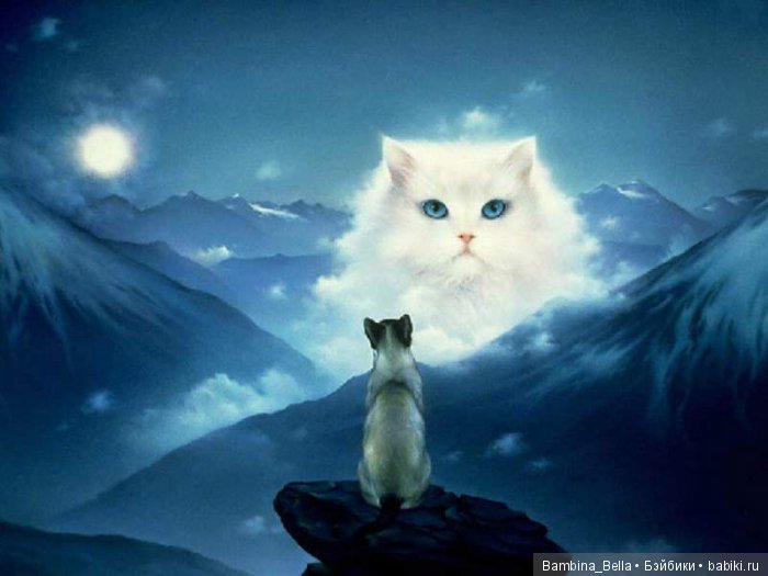 Только о любви и нежности | Бэйбики Только о любви и нежности (фото 6)