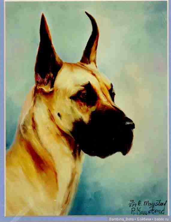 Немецкие доги - любовь в моем сердце | Бэйбики Немецкие доги - любовь в моем сердце