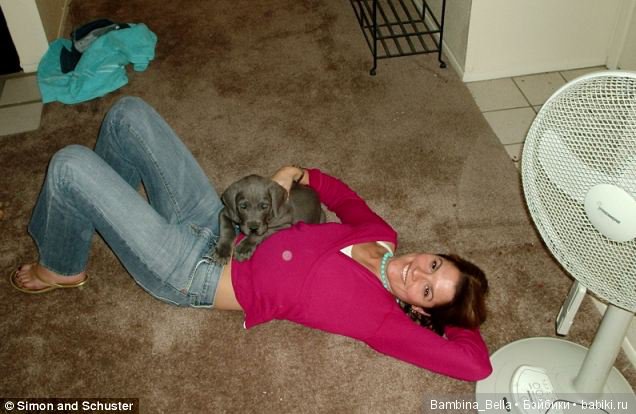 Немецкие доги - любовь в моем сердце | Бэйбики Немецкие доги - любовь в моем сердце