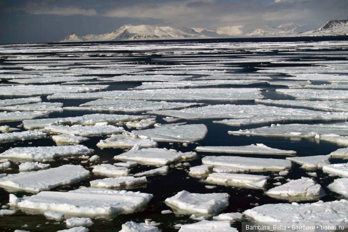 Незаметная ранняя весна - лед тронулся