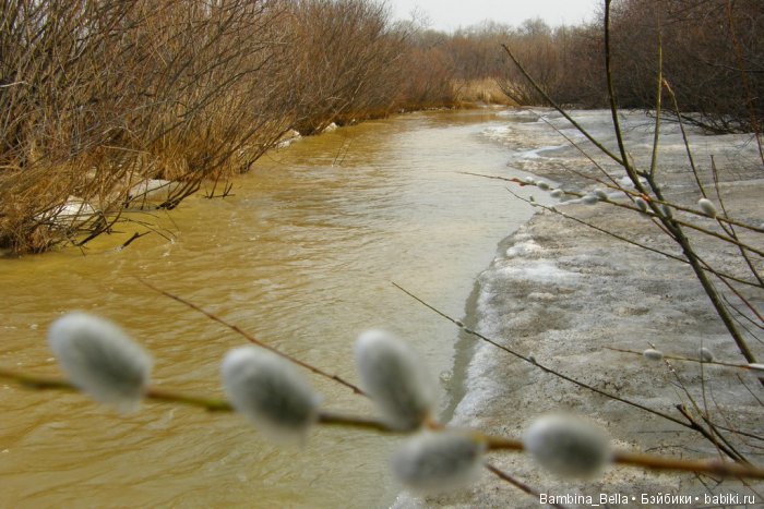 Незаметная ранняя весна - лед тронулся