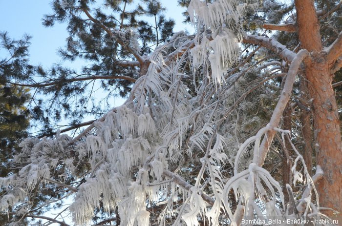 Поздравляю всех с началом весны