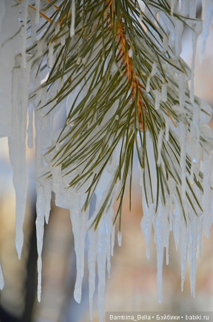 Поздравляю всех с началом весны