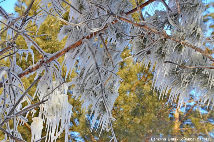 Поздравляю всех с началом весны