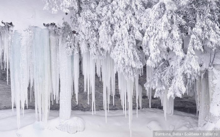 Поздравляю всех с началом весны (фото 8)