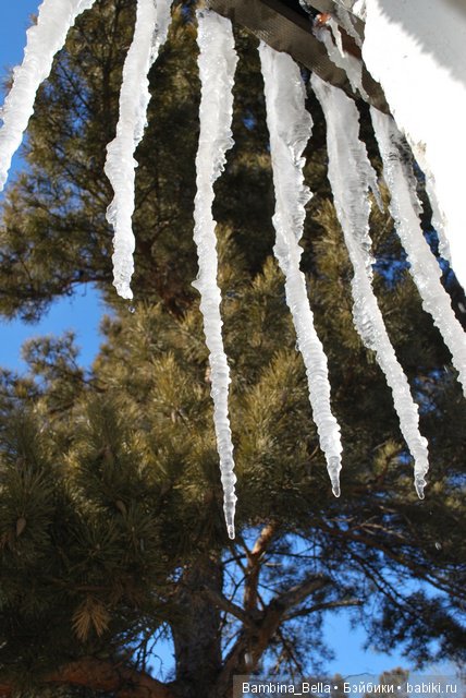 Поздравляю всех с началом весны