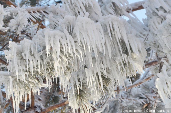 Поздравляю всех с началом весны