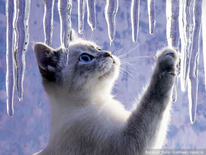 Поздравляю всех с началом весны