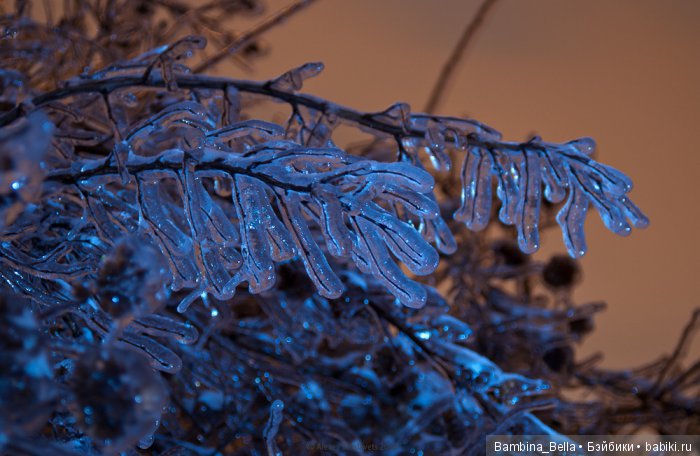 Поздравляю всех с началом весны