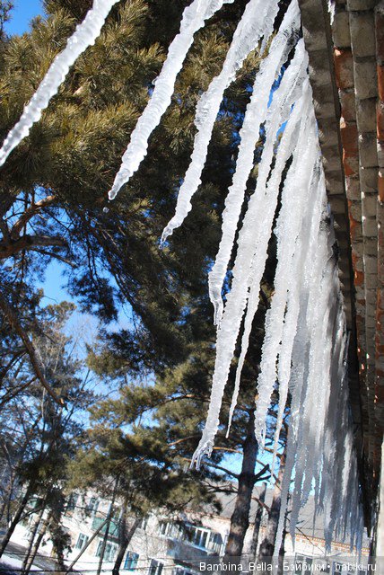 Поздравляю всех с началом весны