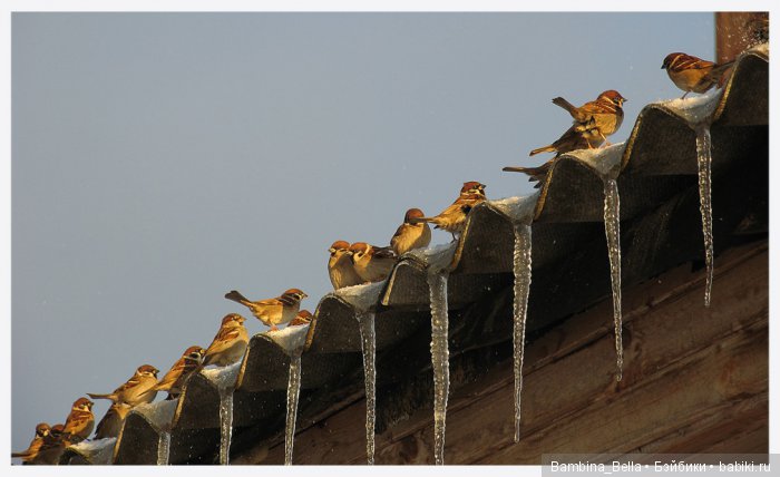 Поздравляю всех с началом весны
