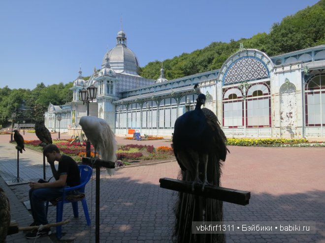 Железноводск и не только — Интересное и необычное: фотоподборки (фото 7)