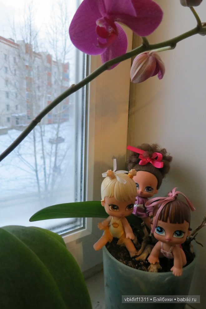 Любовь к куклам — Куклы Bratz (Братц) и Moxie Girlz: MGA (фото 2)