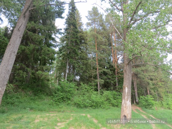 Семь братьев — Туризм и путешествия: фотоотчеты из поездок (фото 7)