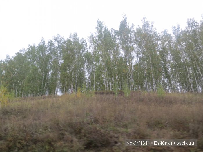 "Широка страна моя родная" или путешествие на юг длиной в 5 тыс км (фото 3)