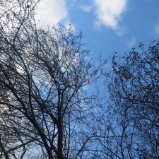 У природы нет плохой погоды -каждая погода благодать...