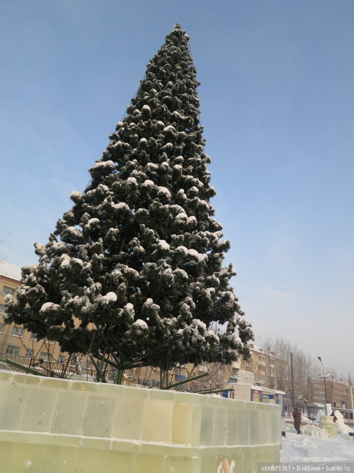 Зима....рябина...ягоды на снегу | Бэйбики Зима....рябина...ягоды на снегу (фото 2)