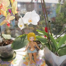 И снова в каморке у папы Карло... часть...