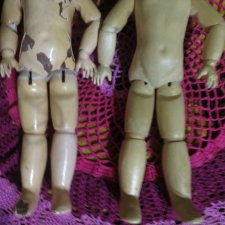 Тельце для Жюмо