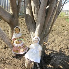 Изанки  на  природе