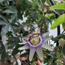 Срок доставки