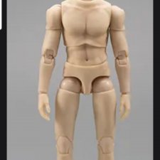 Экшен тело 1/12