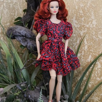 Джинджер  на кукловстрече.