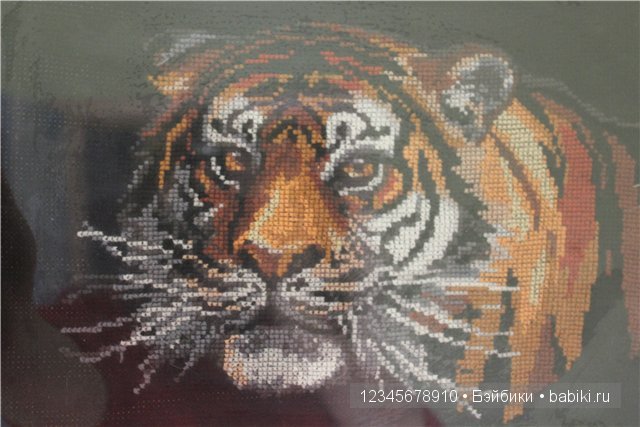 Мое творчество — Другие хобби и увлечения: сад (фото 2)