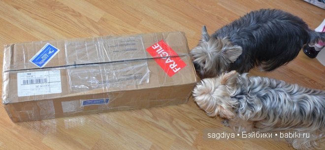 Очаровашка Августа (Тоби от Кайе Виггз)