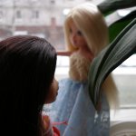 Домашняя зима.