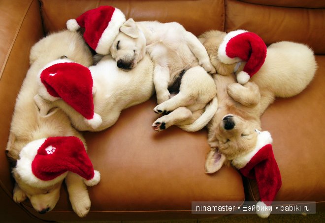 Ждем снега и Нового года | Бэйбики Ждем снега и Нового года — Болталка и разговоры обо всем: жизнь