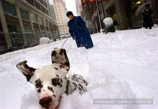 Ждем снега и Нового года | Бэйбики Ждем снега и Нового года — Болталка и разговоры обо всем: жизнь
