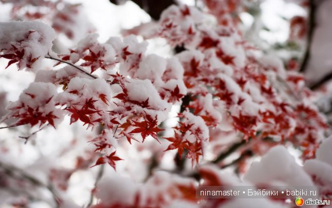Ждем снега и Нового года | Бэйбики Ждем снега и Нового года — Болталка и разговоры обо всем: жизнь