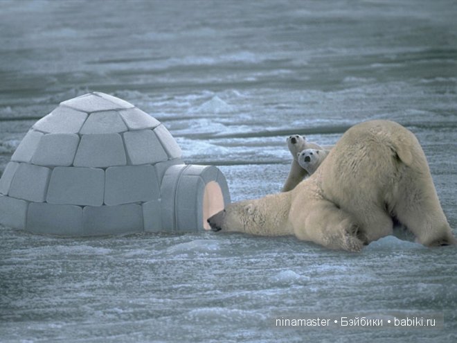 Ждем снега и Нового года | Бэйбики Ждем снега и Нового года — Болталка и разговоры обо всем: жизнь