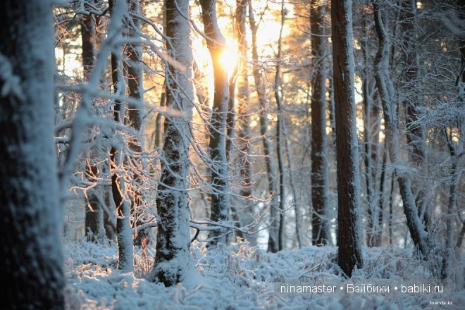 Ждем снега и Нового года | Бэйбики Ждем снега и Нового года — Болталка и разговоры обо всем: жизнь