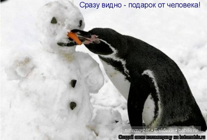 Ждем снега и Нового года | Бэйбики Ждем снега и Нового года — Болталка и разговоры обо всем: жизнь