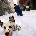 Ждем снега и Нового года!!!