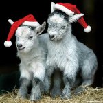 Ждем боя курантов!