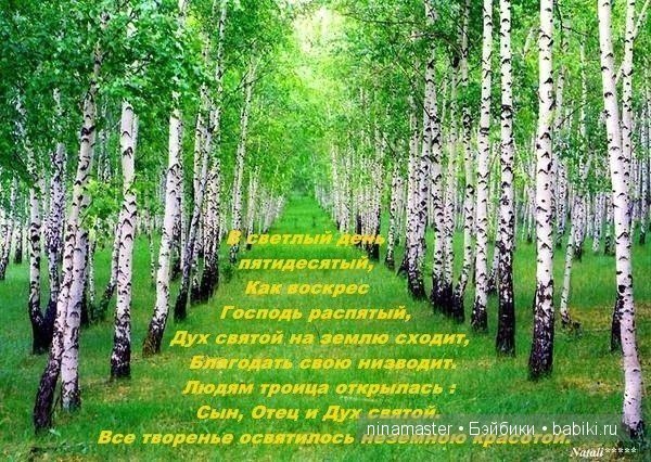 Троица в 2015 году: приметы и обычаи (фото 8)